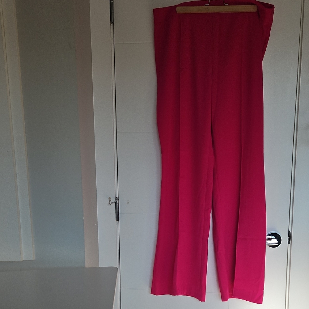 Zara Fuchsia Wide-Leg Pants